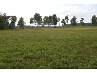 Pond in Dekalb County, Indiana - MAJOR LAND AUCTION - 516+/- ACRES OFFERED IN 18 TRACTS OR COMBINATIONS IN DEKALB COUNTY, INDIANA